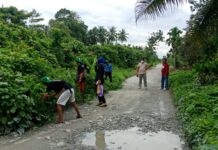 Pemdes Takkalala Bersama Camat Malangke dan Mahasiswa KKN UIN Makassar Lakukan Gotong Royong