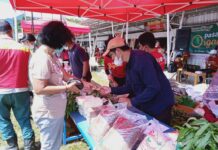 Pasar Organik Bumdesma Mitra Program PPM PT Vale Hadirkan Pangan Sehat