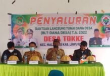 Kades Tokke Salurkan BLT-DD Periode Januari-Maret T.A 2022