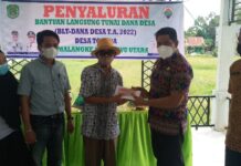 Camat Malangke Serahkan Secara Simbolis BLT-DD di Desa Tolada
