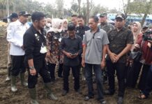 Gerakan Tanam Kedelai dan Jagung, Mentan RI: Kabupaten Bone Penunjang Utama