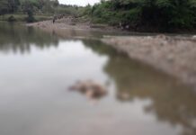 Breaking News : Mayat Mengapung di Sungai Walennae Gegerkan Warga