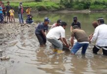 Sempat Gegerkan Warga, Begini Kronologi Mayat Mengapung Disungai Walennae