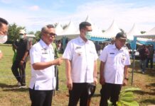 Budiman Harap Program ACTIVE Membuat Kakao di Lutim Semakin Baik