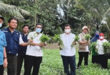 Berkunjung ke Luwu Utara, Putra Menteri Pertanian Sampaikan Ucapan Terima Kasih ke Pemda