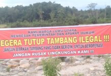 Warga dan Aktivis di Luwu Utara Minta Pihak Pemerintah dan Kepolisian Tertibkan Tambang Ilegal