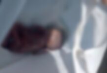 Bayi Ditemukan dalam Plastik Kresek di Dermaga Bahodopi