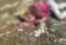 Kecelakaan Kerja Kembali Terjadi di PT. IMIP, WNA Terlindas Loader, Kepala Remuk !