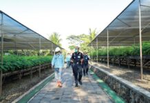 Kakanwil Bea Cukai Sulbagsel Kagumi Pengelolaan Lingkungan PT Vale