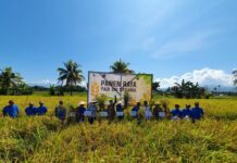 SRI Organik PT Vale, Harapan Baru Pertanian Produktif dan Ramah Lingkungan di Pomalaa