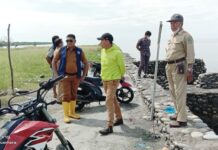 Didampingi Kades Pincepute, Camat Malangke Kunjungi Area TPI di Desa Tokke