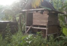 Setelah Viral ODGJ di Bengo Dipasung, Ada Lagi Ngamuk Pakai Parang