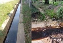 Limbah Pabrik Kelapa Sawit PT. MPA Burau Diduga Cemari Lingkungan 8 Desa !