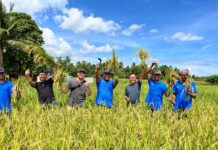 Didukung PT Vale, Milenial Pomalaa Melek Pertanian Organik
