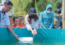 Ketua PKK Morut Lepas Bibit Ikan dan Panen Sayur di Kebun PKKÂ