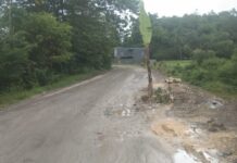 Lapor Pak Menteri ! Jalan Nasional di Bone Rusak, Warga Sudah Tancap Pohon Pisang