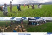 Gerdal OPT, Kepala Balai Proteksi Sulsel Sambangi Petani di Bengo