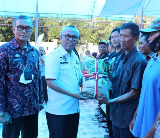 Launching Mandiri Benih Padi, Bupati Luwu Timur Serahkan Sejumlah Bantuan