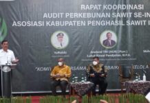 Pemkab. Luwu Timur Hadiri Rakor Audit Perkebunan Sawit se Indonesia di Jakarta