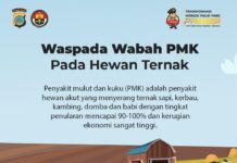 Cegah PMK, Polda Sulteng Perketat Pemeriksaan Pintu Perbatasan