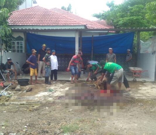 Pelaksanaan Pemotongan Hewan Kurban di Masjid Al Markaz Makassar Berjalan Lancar