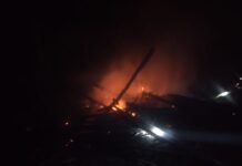 Si Jago Merah Ngamuk di Pemukiman Warga Bengo, Rumah Panggung Rata Tanah