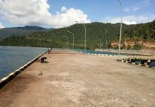 Soal Pelabuhan Waru-waru, Bupati Luwu Timur Sebut Izin Yang Keluar Sesuai Kewenangan Masing-Masing Instansi