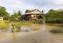 Diguyur Hujan, Sejumlah Desa di Baebunta Selatan Tergenang Banjir