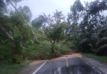 Breaking News, Longsor di Mangkutana Jalan Trans Sulawesi Tertutup