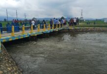 Pelayanan Air D.I Kalaena Maksimal ? Siap-siap Petani 5 Kali Panen Dalam 2 Tahun !