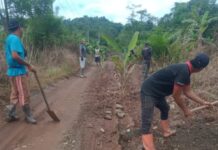 Jadi Akses Truck Muat Sawit Ke PT. Teguh Wira Pratama, Warga Tanam Pohon Pisang di Jalan