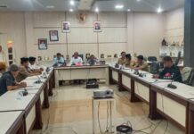 Soal Tambang PT. PDS, Wakil Ketua I DPRD Luwu Timur Siap Kawal Aspirasi Masyarakat Sampai ke Pusat