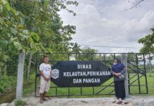 UPTD BBI Margolembo dan Towuti Siapkan Benih Ikan Nila, Mas dan Bawal
