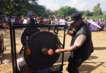 Bupati Luwu Timur Lepas Peserta Karnaval Budaya HUT Desa Sorowako