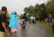 Pelajar Tabrakan di Wotu, Tanaman Jagung Halangi Jarak Pandang Pengendara ?