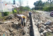 Disorot Warga, Proyek Drainase Cendana Hijau Dibongkar