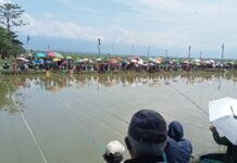 Jelang HUT ke-83, Pemdes Mulyasri gelar Lomba Mancing, Berikut Pemenangnya !