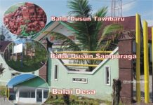 Ini Pengakuan Ketua TPKD Kasintuwu Soal Balai Pertemuan Habiskan Ratusan Juta DD, Namun Tidak Selesai, Warga Sebut Bohong !