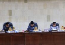 Rapat Paripurna DPRD Luwu Timur, Fraksi Golkar Bahas Air Bersih dan Rumah Sakit