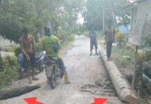 Warga Pasang Batang Kelapa Pengganti Plat Duecker Jebol, Bupati Minta Dinas PUPR Tinjau Langsung