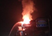 Bangunan Sarang Burung Walet di Tomoni Terbakar