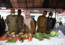 DPKP Luwu Utara Gelar Bazar Pangan Murah, Ini Harga Komoditi Pangan yang Dijual