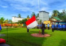 Upacara HKN, Camat Malangke Serahkan Piagam Penghargaan Capaian PBB-P2 dan Vaksinasi Kepada Kades