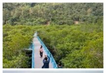 Segudang Potensi Wisata di Morowali Utara, Dari Teluk Hingga Situs Prasejarah