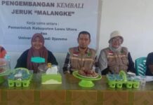 Pemda Luwu Utara dan Unanda Palopo Jalin Kerjasama Usaha Revegetasi Jeruk Malangke