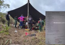 Ini Reaksi Bupati Luwu Timur Dicatut Sebagai Penasehat Garap Hutan Lindung !
