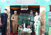 Bupati Budiman Apresiasi Panen Raya dan Bakti Sosial Kodam XIV Hasanuddin