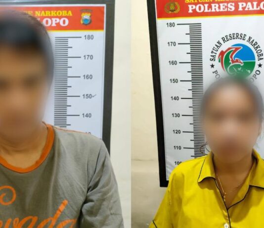 Polres Palopo Tangkap Dua Pelaku Penyalahgunaan Narkoba, Salah Satunya Wanita