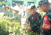 Didampingi Dandim 1403 Palopo, Danrem 141/Tp Panen Sayur di Makoramil 1403 – 11 Masamba