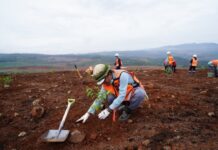 Melalui Penanaman Pohon, PT Vale Wujudkan Komitmen Peduli Pada Lingkungan